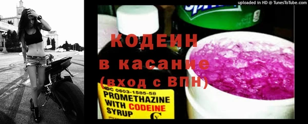 индика Новокубанск