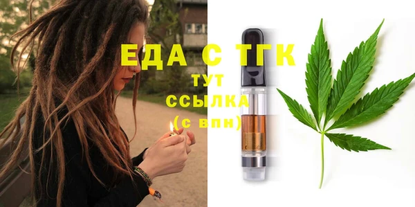 индика Новокубанск