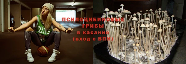 ECSTASY Вязьма