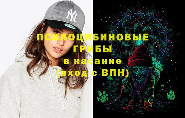 эйфоретик Новодвинск