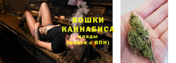 гидропоника Новозыбков