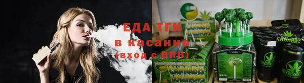 индика Новокубанск