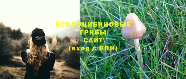 гидропоника Новозыбков