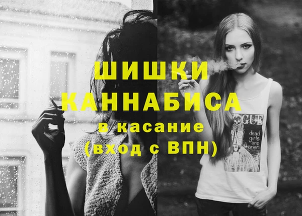 индика Новокубанск