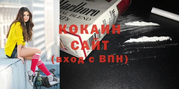 индика Новокубанск