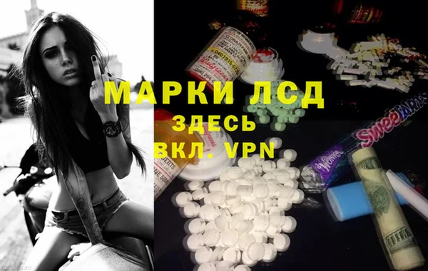 эйфоретик Новодвинск