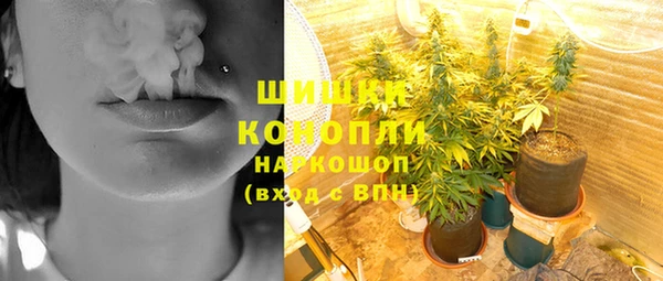 гидропоника Новозыбков