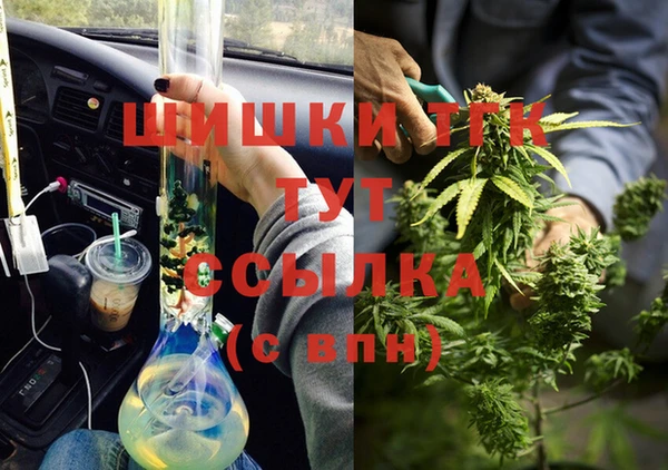 гидропоника Новозыбков