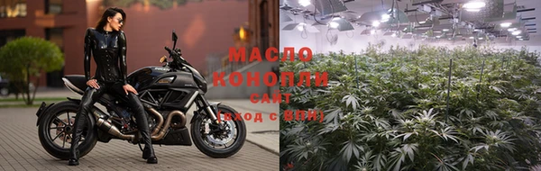 индика Новокубанск