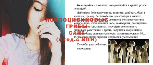 эйфоретик Новодвинск