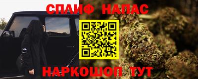 крисы Обь