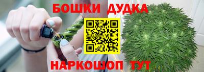 крисы Обь