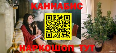 крисы Обь