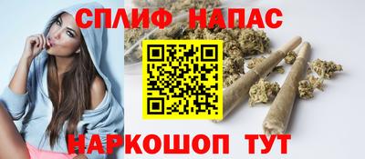 крисы Обь