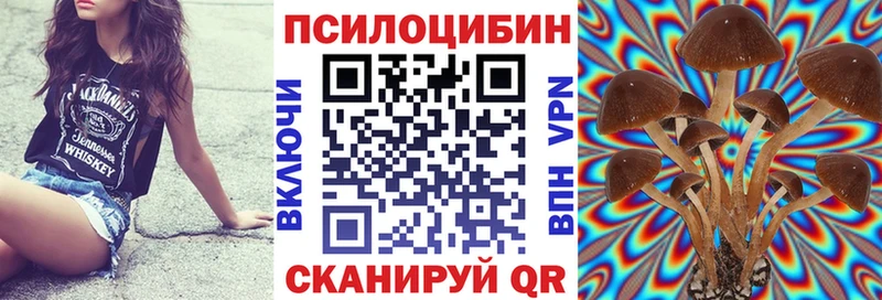 Галлюциногенные грибы мицелий  купить   Якутск 