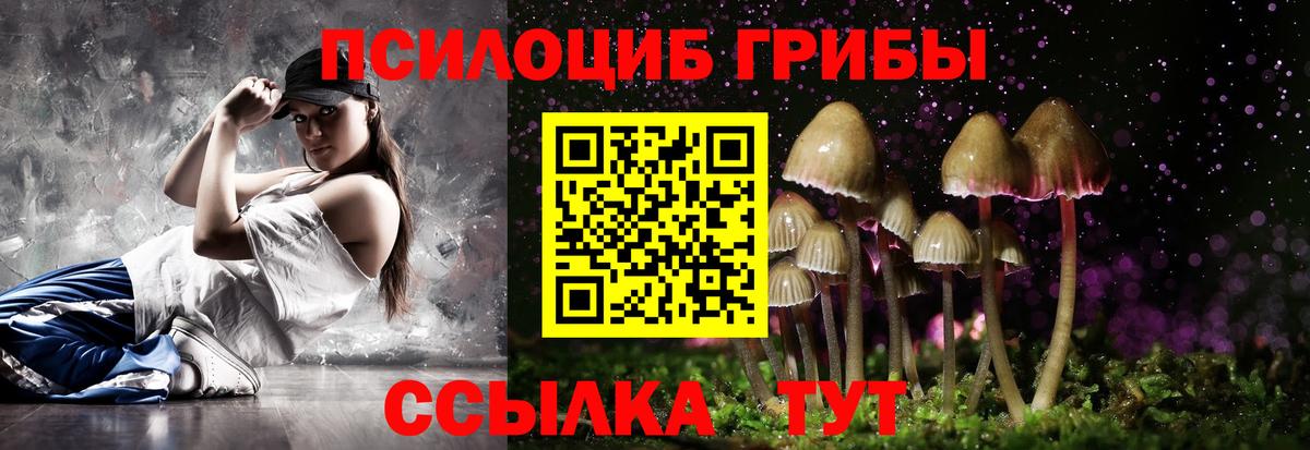 Галлюциногенные грибы Psilocybe  где продают наркотики  Якутск  Вход с VPN 