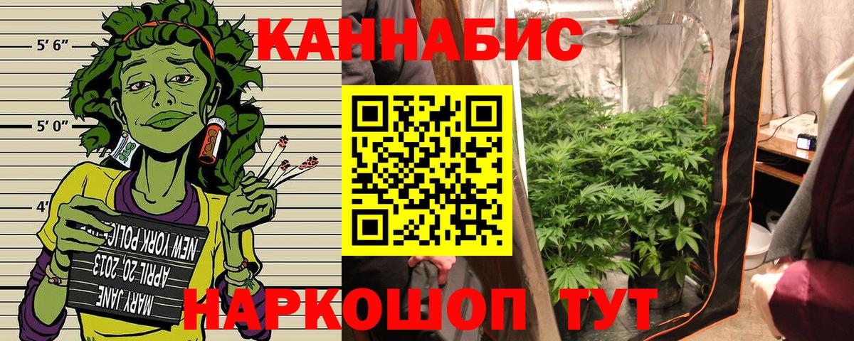 Конопля план Якутск
